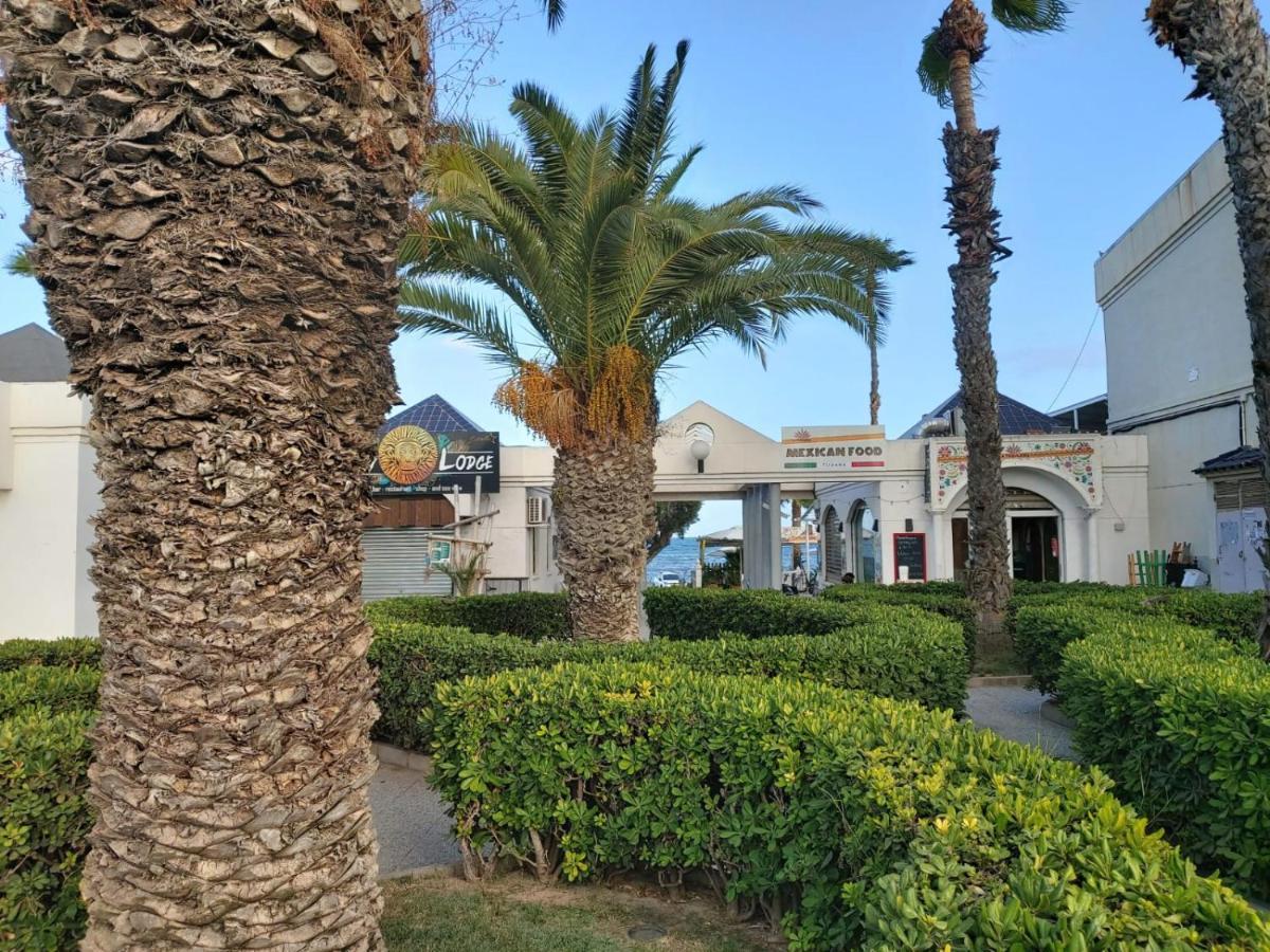 Villa Amalia 5 Torrevieja Dış mekan fotoğraf