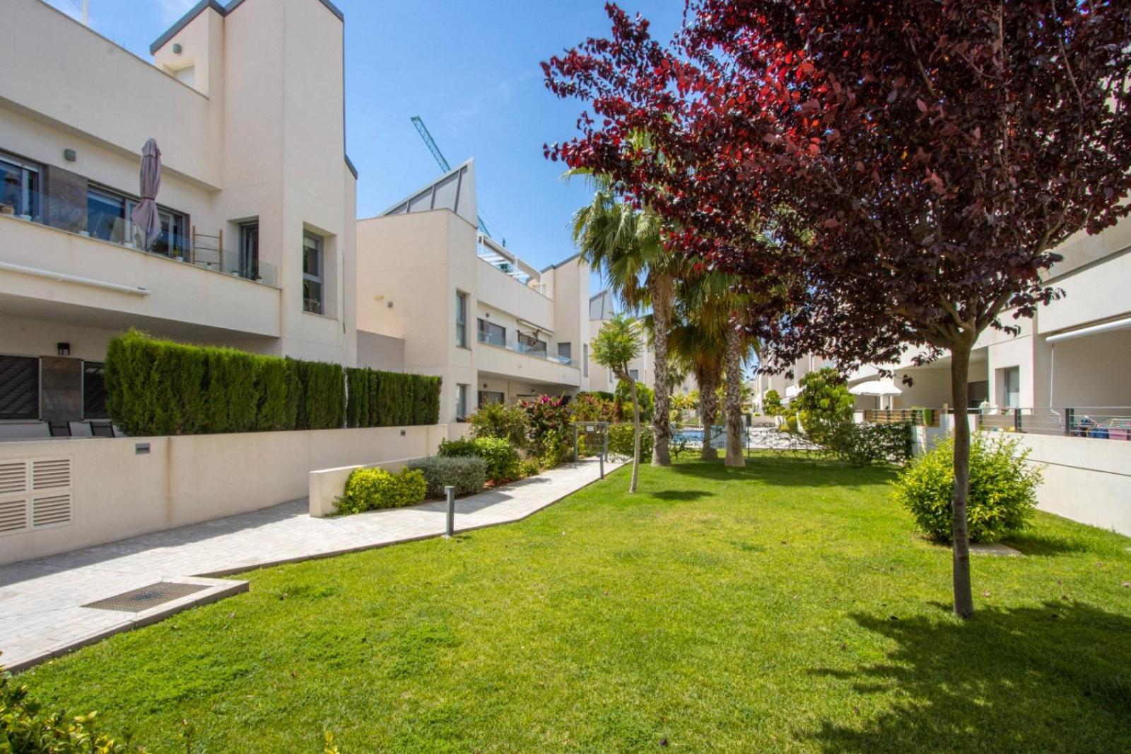 Villa Amalia 5 Torrevieja Dış mekan fotoğraf